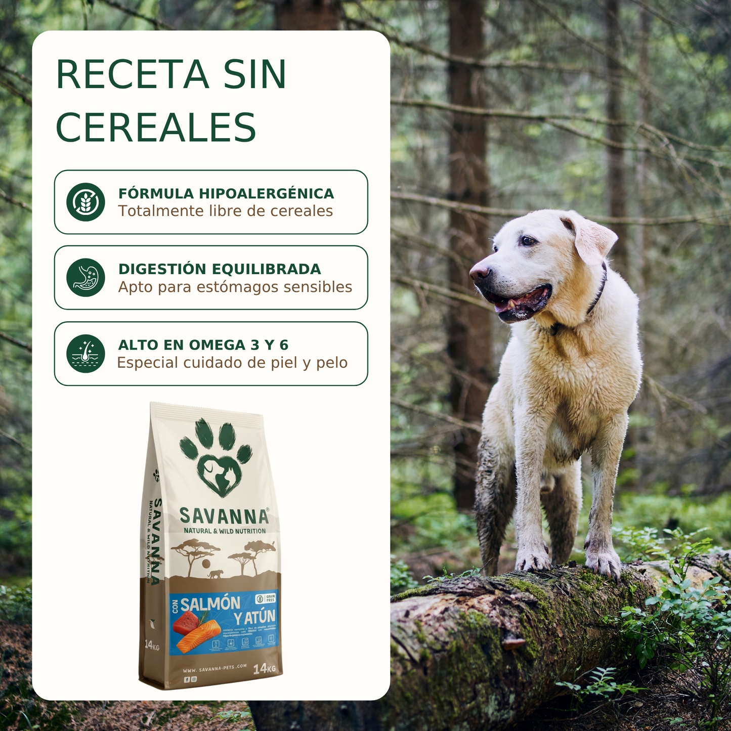 Pienso Grain Free de Salmón y Atún Savanna (Hipoalergénico)