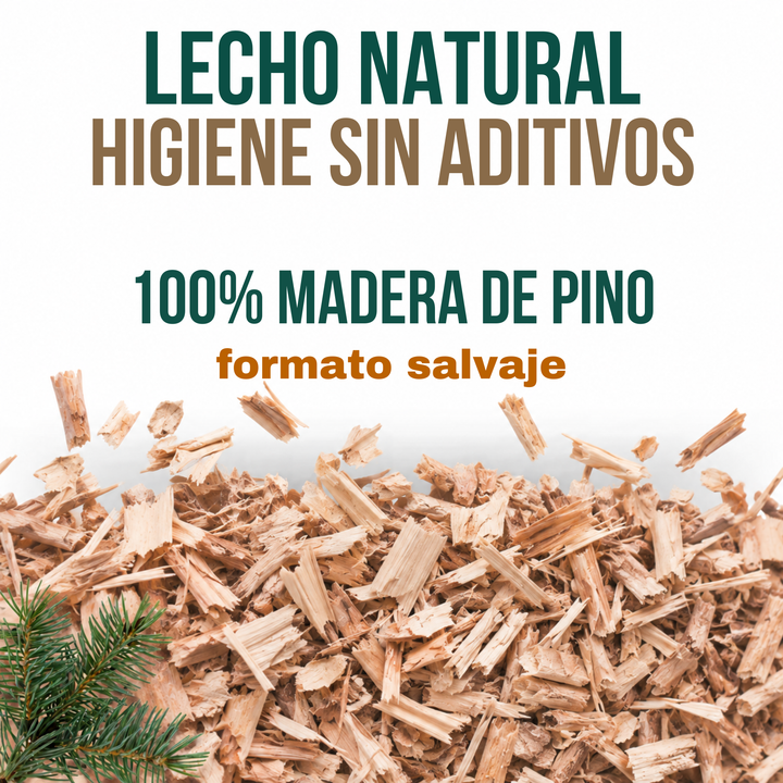 SV Lecho Salvaje 10 L.