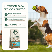 Pienso Salmón y Atún Savanna