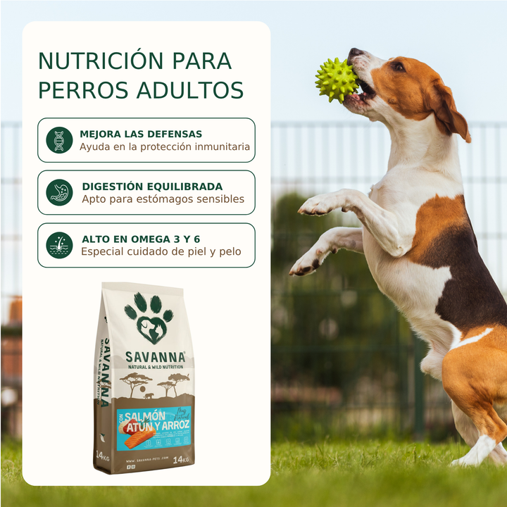 Pienso Salmón y Atún Savanna